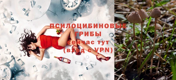прущий лед Ладушкин